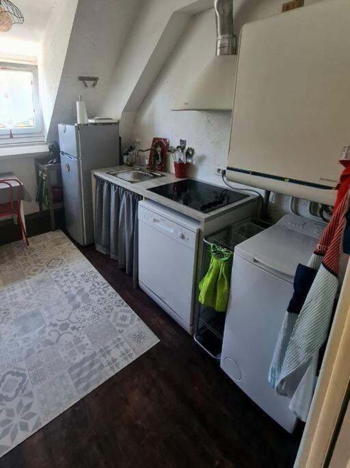 Appartement Centre Ville Terrasse Jardin Garage Chez Priscilla 오리야크 외부 사진